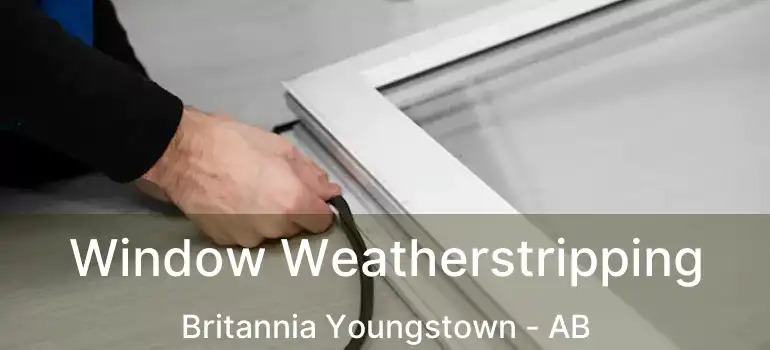  Window Weatherstripping Britannia Youngstown - AB