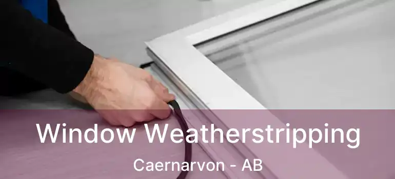  Window Weatherstripping Caernarvon - AB