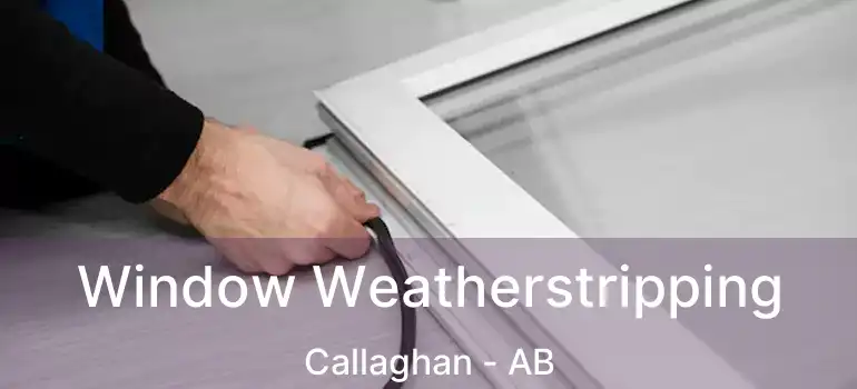  Window Weatherstripping Callaghan - AB