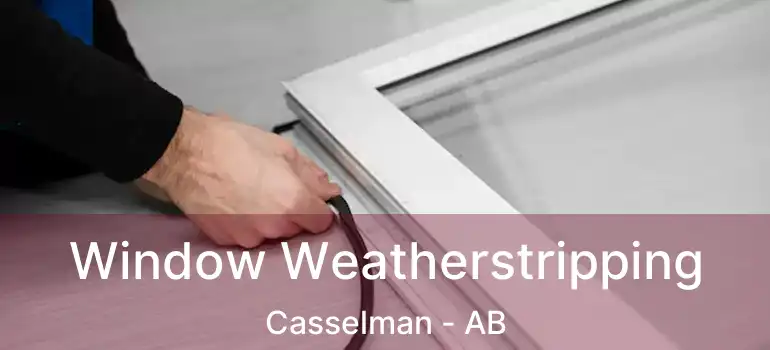  Window Weatherstripping Casselman - AB