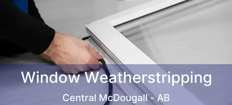  Window Weatherstripping Central McDougall - AB