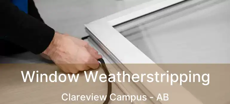  Window Weatherstripping Clareview Campus - AB
