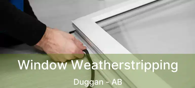  Window Weatherstripping Duggan - AB