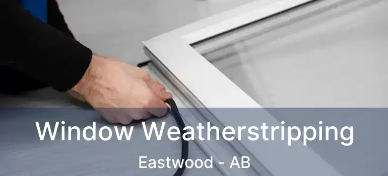  Window Weatherstripping Eastwood - AB