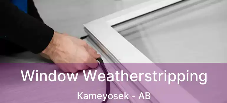  Window Weatherstripping Kameyosek - AB