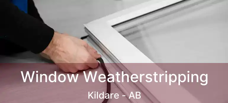  Window Weatherstripping Kildare - AB