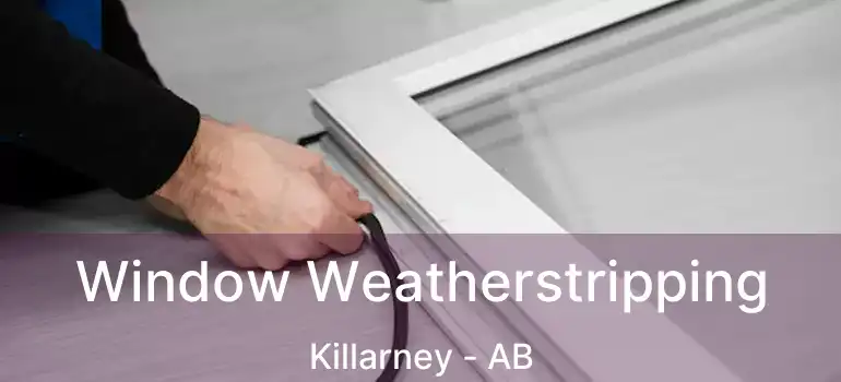  Window Weatherstripping Killarney - AB