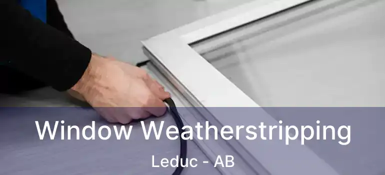  Window Weatherstripping Leduc - AB