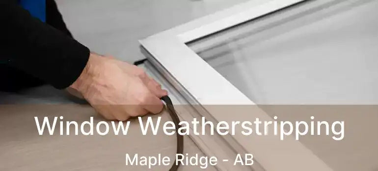  Window Weatherstripping Maple Ridge - AB