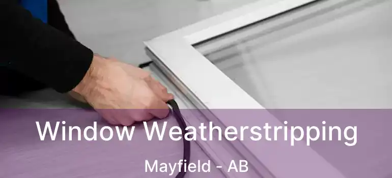  Window Weatherstripping Mayfield - AB