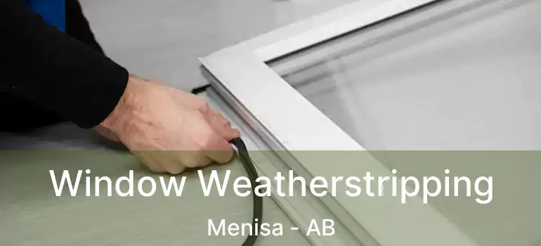  Window Weatherstripping Menisa - AB