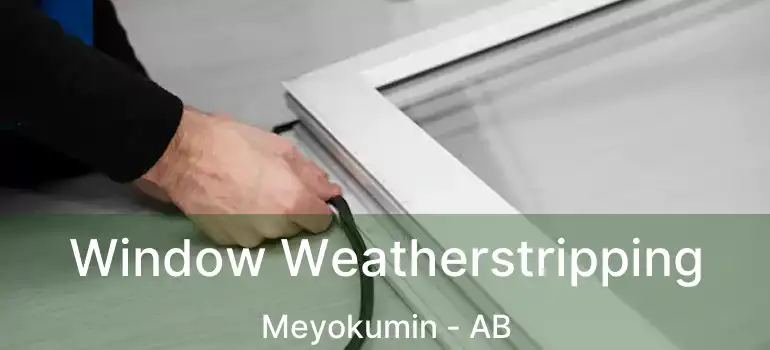  Window Weatherstripping Meyokumin - AB