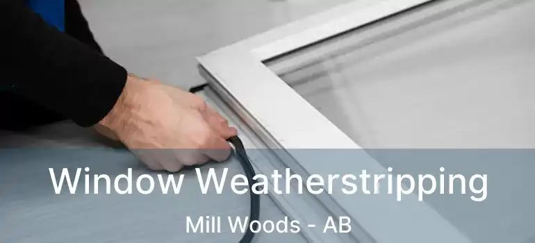  Window Weatherstripping Mill Woods - AB