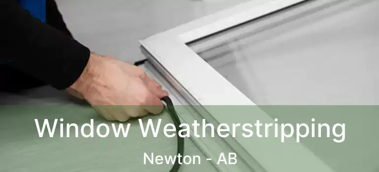  Window Weatherstripping Newton - AB