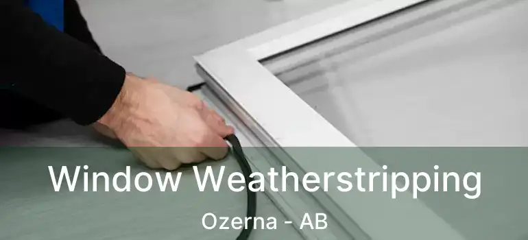  Window Weatherstripping Ozerna - AB