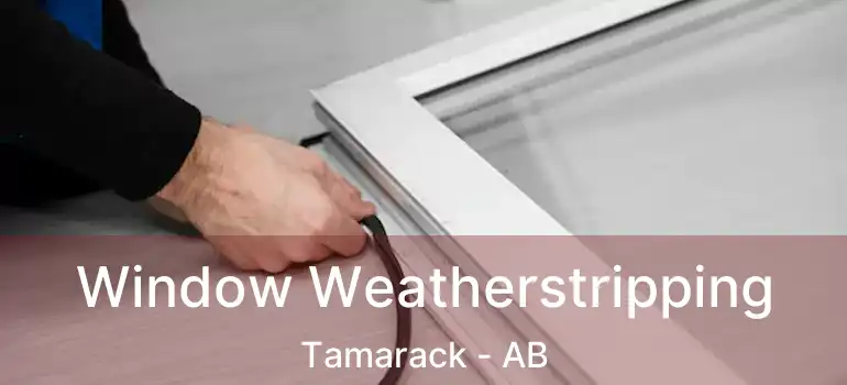  Window Weatherstripping Tamarack - AB