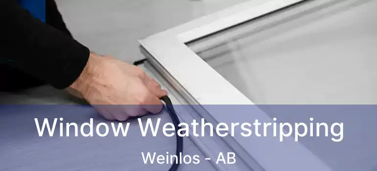  Window Weatherstripping Weinlos - AB