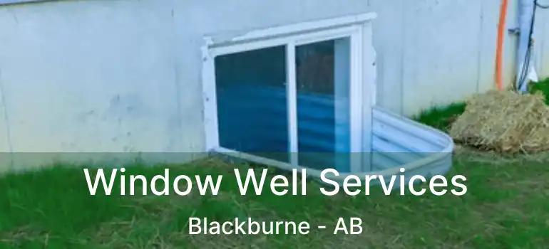  Window Well Services Blackburne - AB