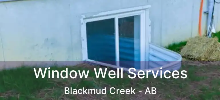 Window Well Services Blackmud Creek - AB
