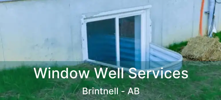  Window Well Services Brintnell - AB