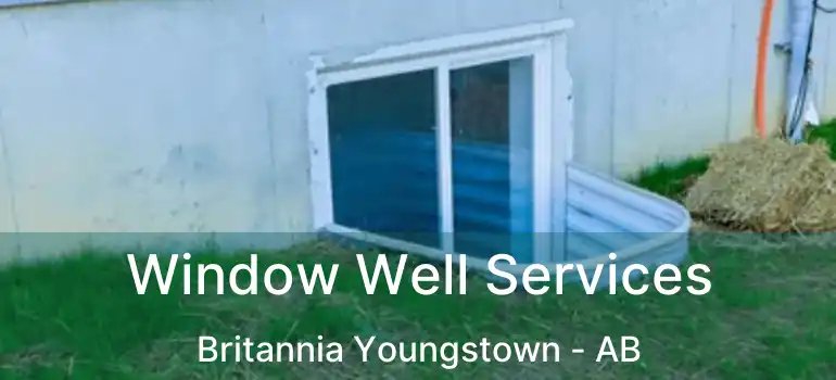  Window Well Services Britannia Youngstown - AB