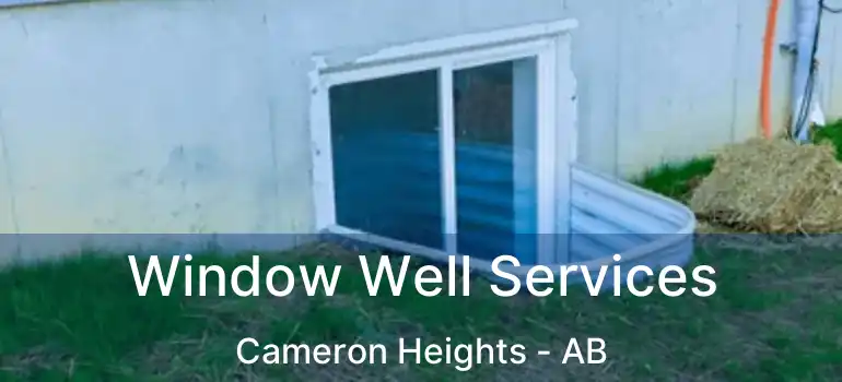  Window Well Services Cameron Heights - AB
