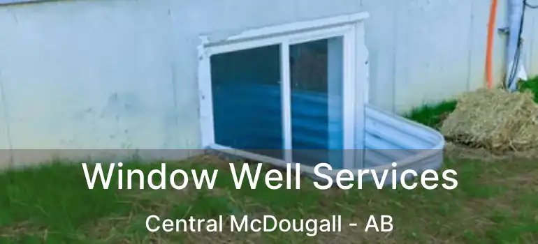  Window Well Services Central McDougall - AB