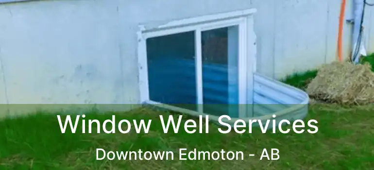  Window Well Services Downtown Edmoton - AB