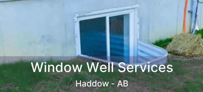  Window Well Services Haddow - AB