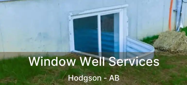  Window Well Services Hodgson - AB