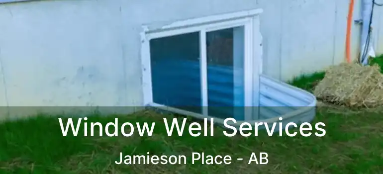  Window Well Services Jamieson Place - AB