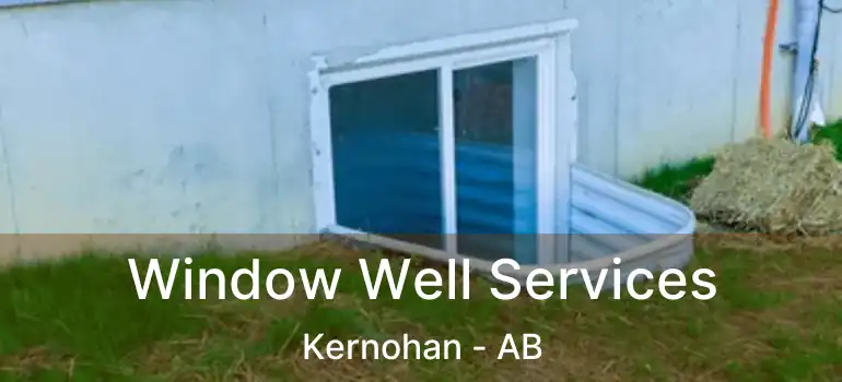  Window Well Services Kernohan - AB