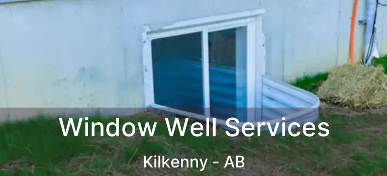  Window Well Services Kilkenny - AB