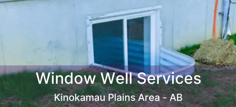  Window Well Services Kinokamau Plains Area - AB