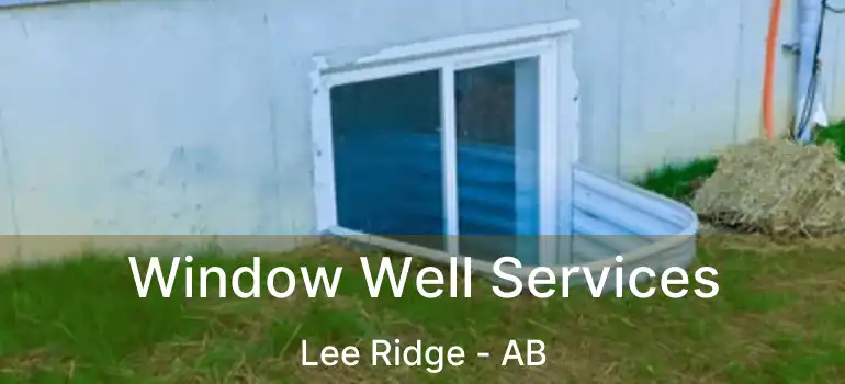  Window Well Services Lee Ridge - AB