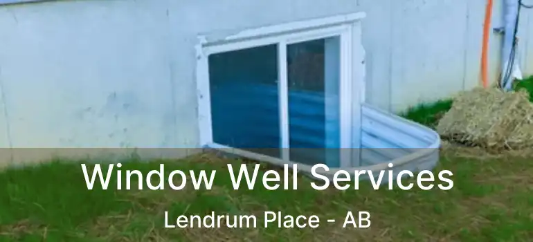  Window Well Services Lendrum Place - AB