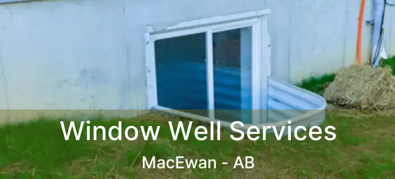  Window Well Services MacEwan - AB