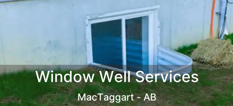  Window Well Services MacTaggart - AB