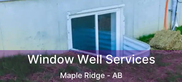  Window Well Services Maple Ridge - AB