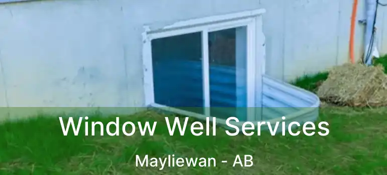  Window Well Services Mayliewan - AB