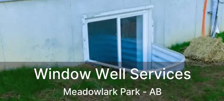  Window Well Services Meadowlark Park - AB