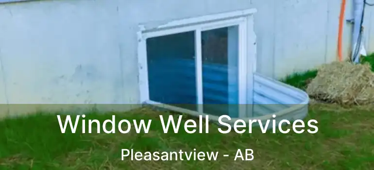  Window Well Services Pleasantview - AB