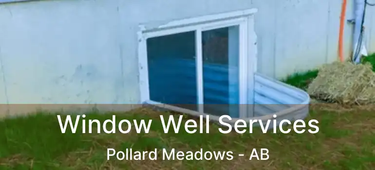  Window Well Services Pollard Meadows - AB