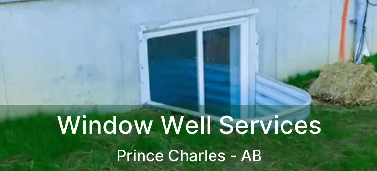  Window Well Services Prince Charles - AB