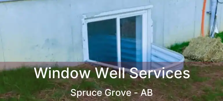  Window Well Services Spruce Grove - AB