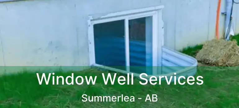  Window Well Services Summerlea - AB