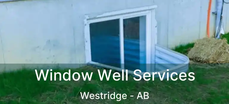  Window Well Services Westridge - AB
