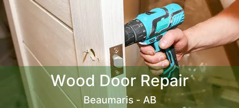  Wood Door Repair Beaumaris - AB