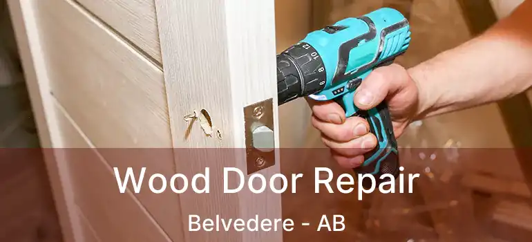  Wood Door Repair Belvedere - AB