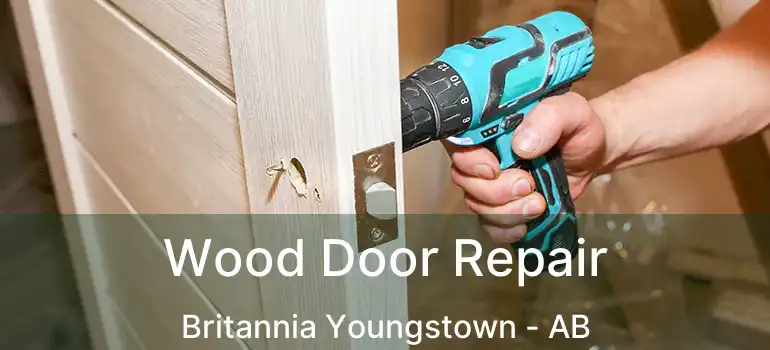  Wood Door Repair Britannia Youngstown - AB